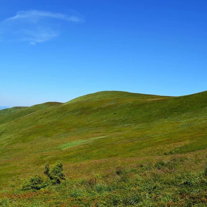 Фото / логотип КП Дачи, Анапа
