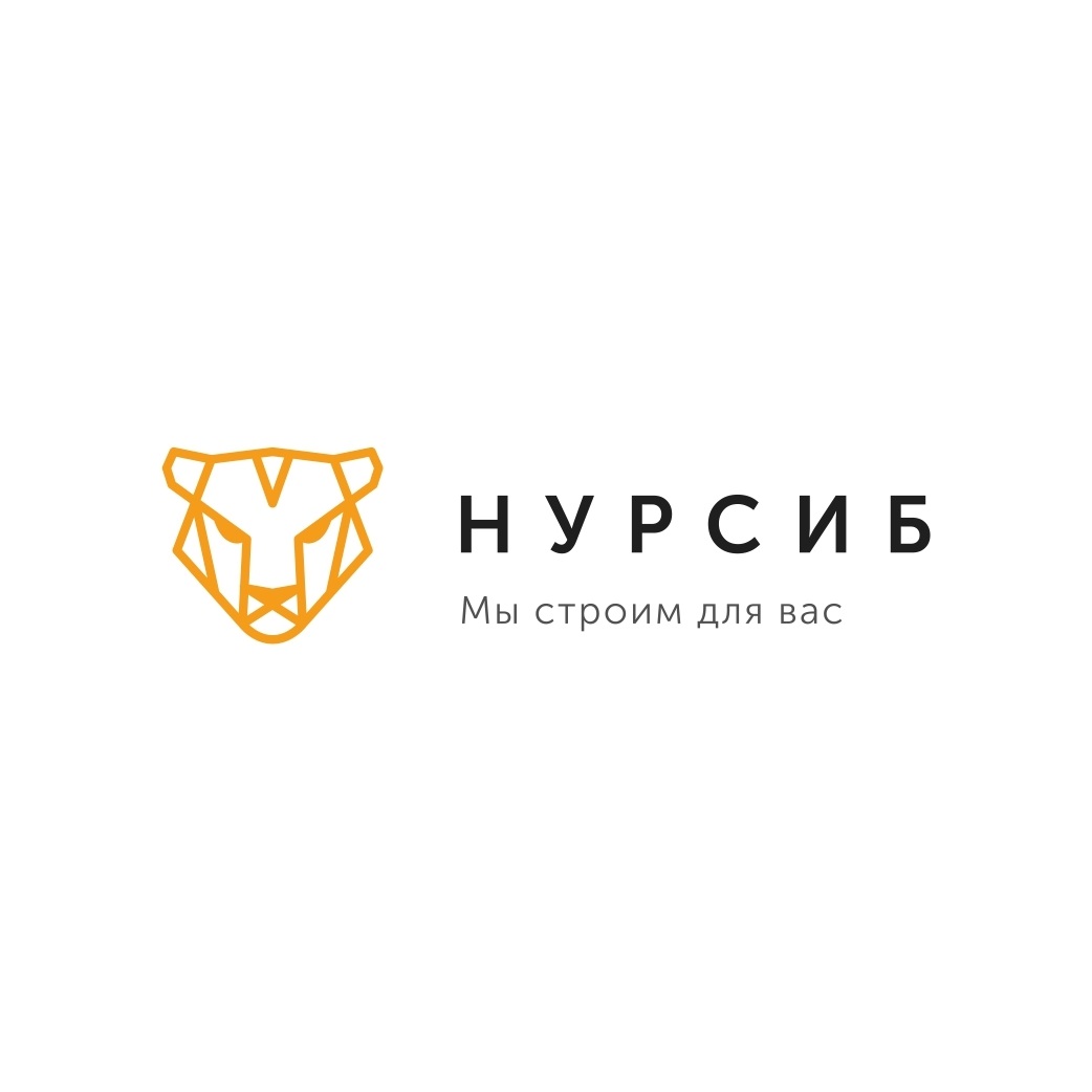 Фото / логотип СК Нурсиб, Казань