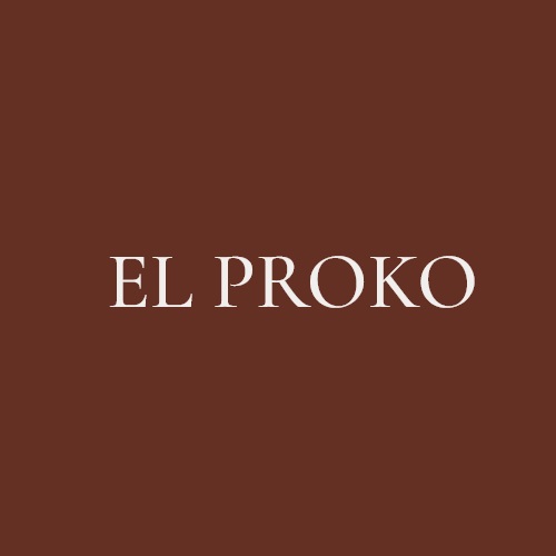 Фото / логотип EL Proko, Нижний Новгород